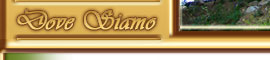 Dove Siamo